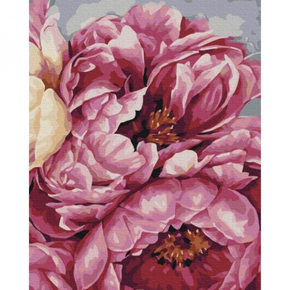 "Nyíló Pünkösdi rózsa" Számfestő Készlet, 40x50 cm